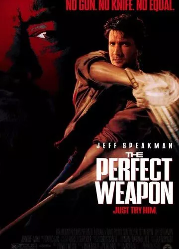 Досконала зброя (1991)