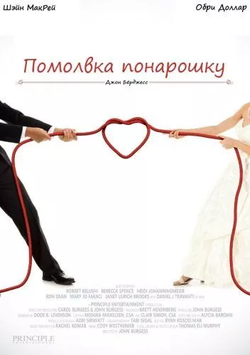 Фальшиві заручини (2013)