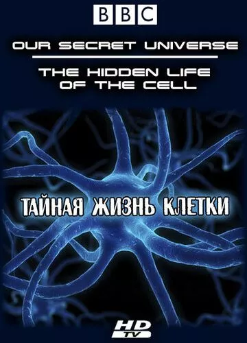 Внутрішній всесвіт: Таємне життя клітини (2012)