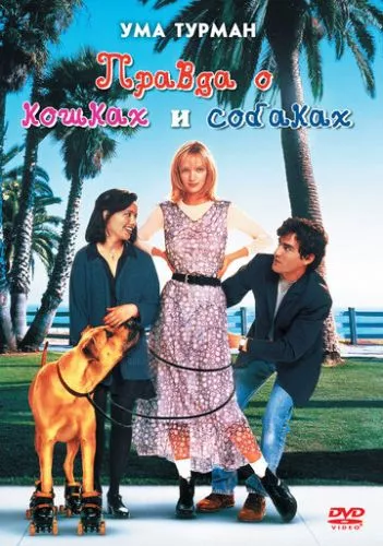 Правда про котів і собак (1996)