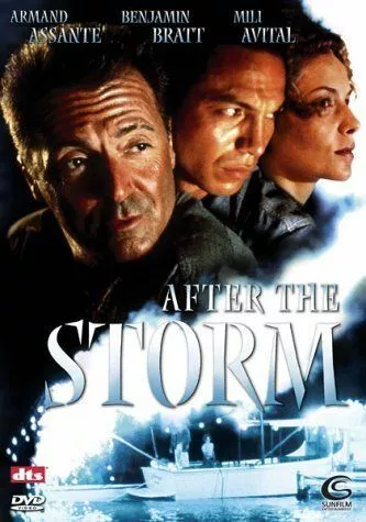 Після шторму (2001)