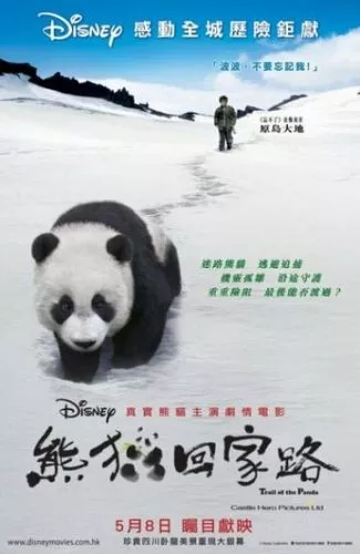 Слід панди (2009)
