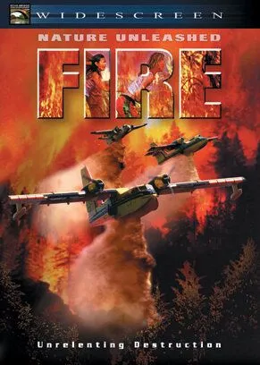 Стихія вогню (2004)