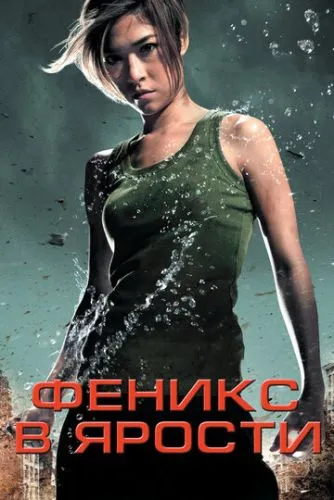 Бурхливий Фенікс (2009)