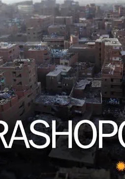 Сміття у великому місті (2010)