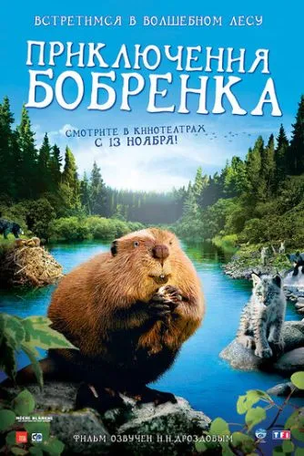 Пригоди бобреняти (2007)