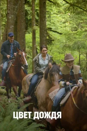 Колір дощу (2014)