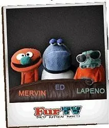 Волохате ТБ (2008)